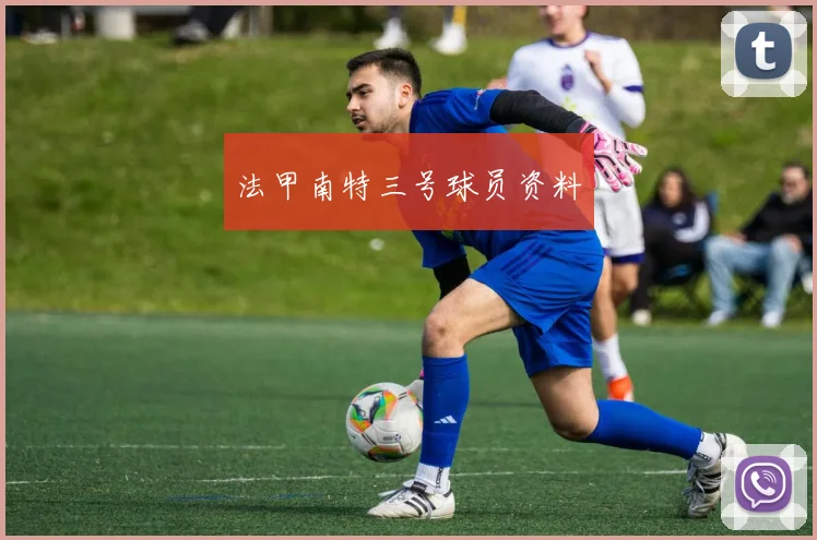 法甲南特三号球员资料